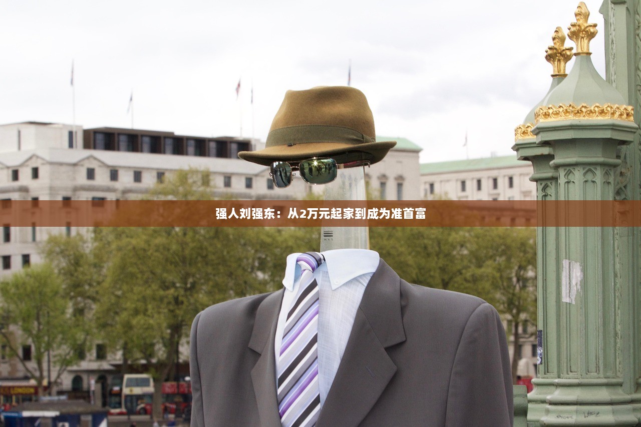 强人刘强东：从2万元起家到成为准首富  第1张