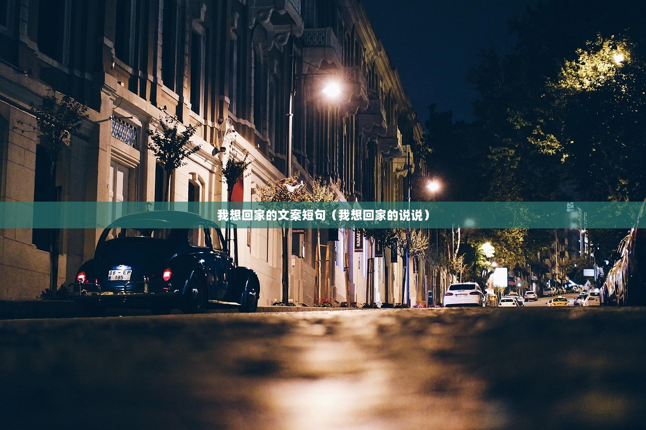 我想回家的文案短句（我想回家的说说）