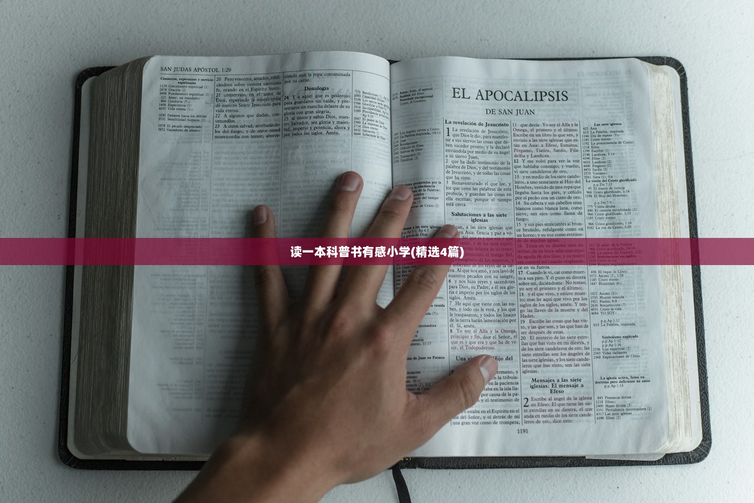 读一本科普书有感小学(精选4篇)  第1张