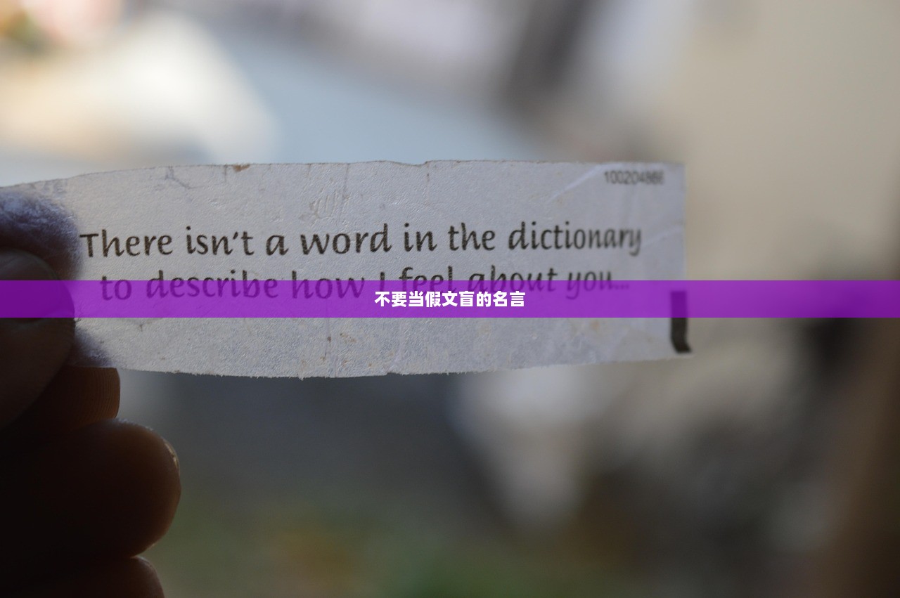 不要当假文盲的名言