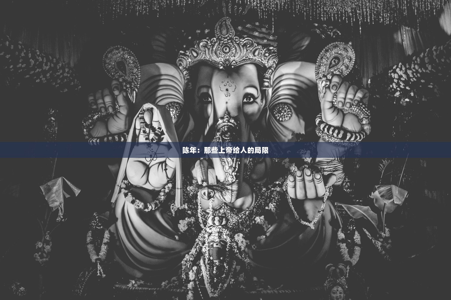 陈年：那些上帝给人的局限