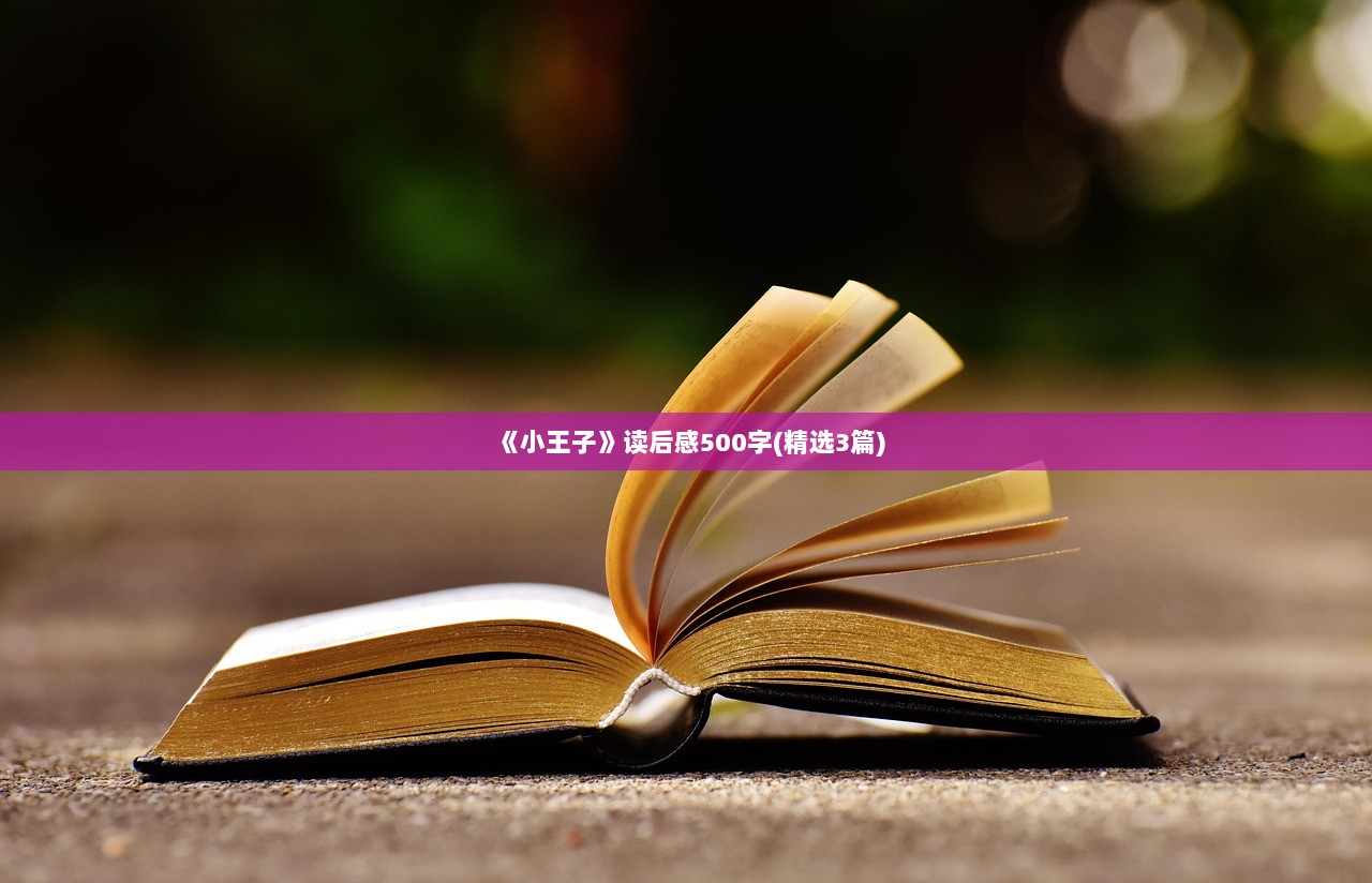 《小王子》读后感500字(精选3篇)