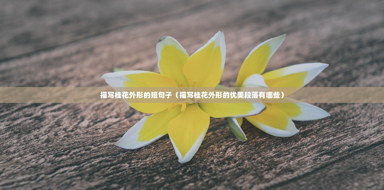 描写桂花外形的短句子（描写桂花外形的优美段落有哪些）