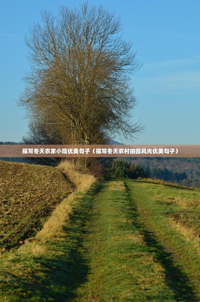 描写冬天农家小院优美句子（描写冬天农村田园风光优美句子）