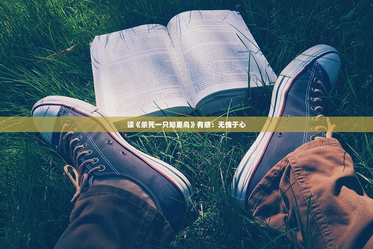 读《杀死一只知更鸟》有感：无愧于心