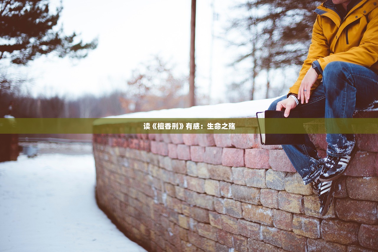 读《檀香刑》有感：生命之殇