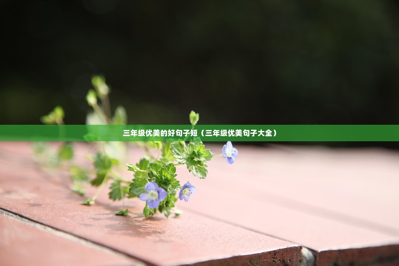 三年级优美的好句子短（三年级优美句子大全）