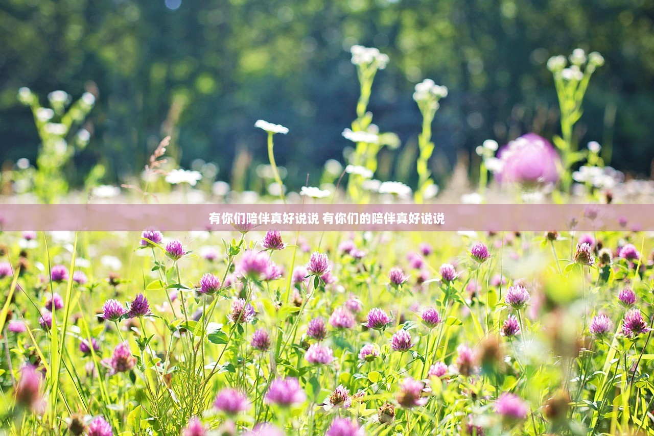 有你们陪伴真好说说 有你们的陪伴真好说说 第1张 有你们陪伴真好说说 有你们的陪伴真好说说 第1张