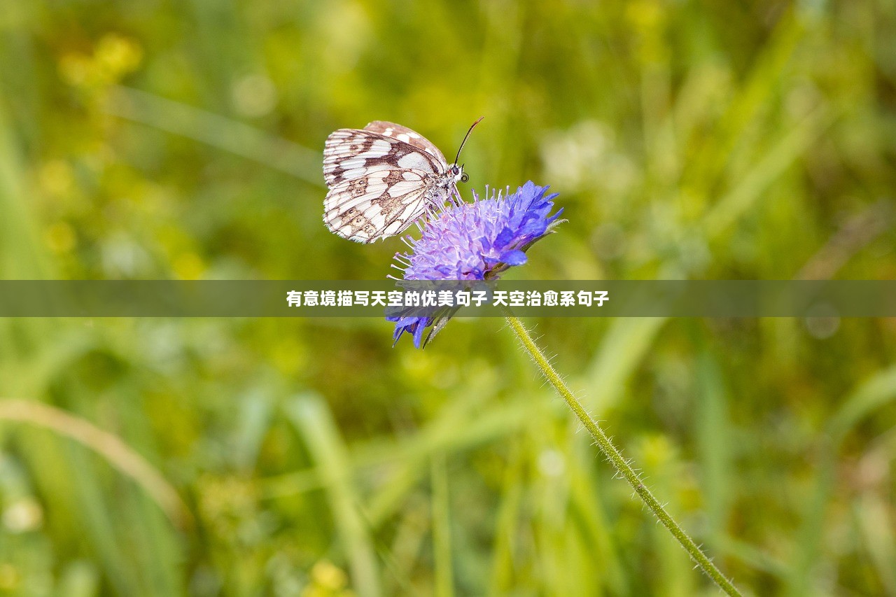 有意境描写天空的优美句子 天空治愈系句子