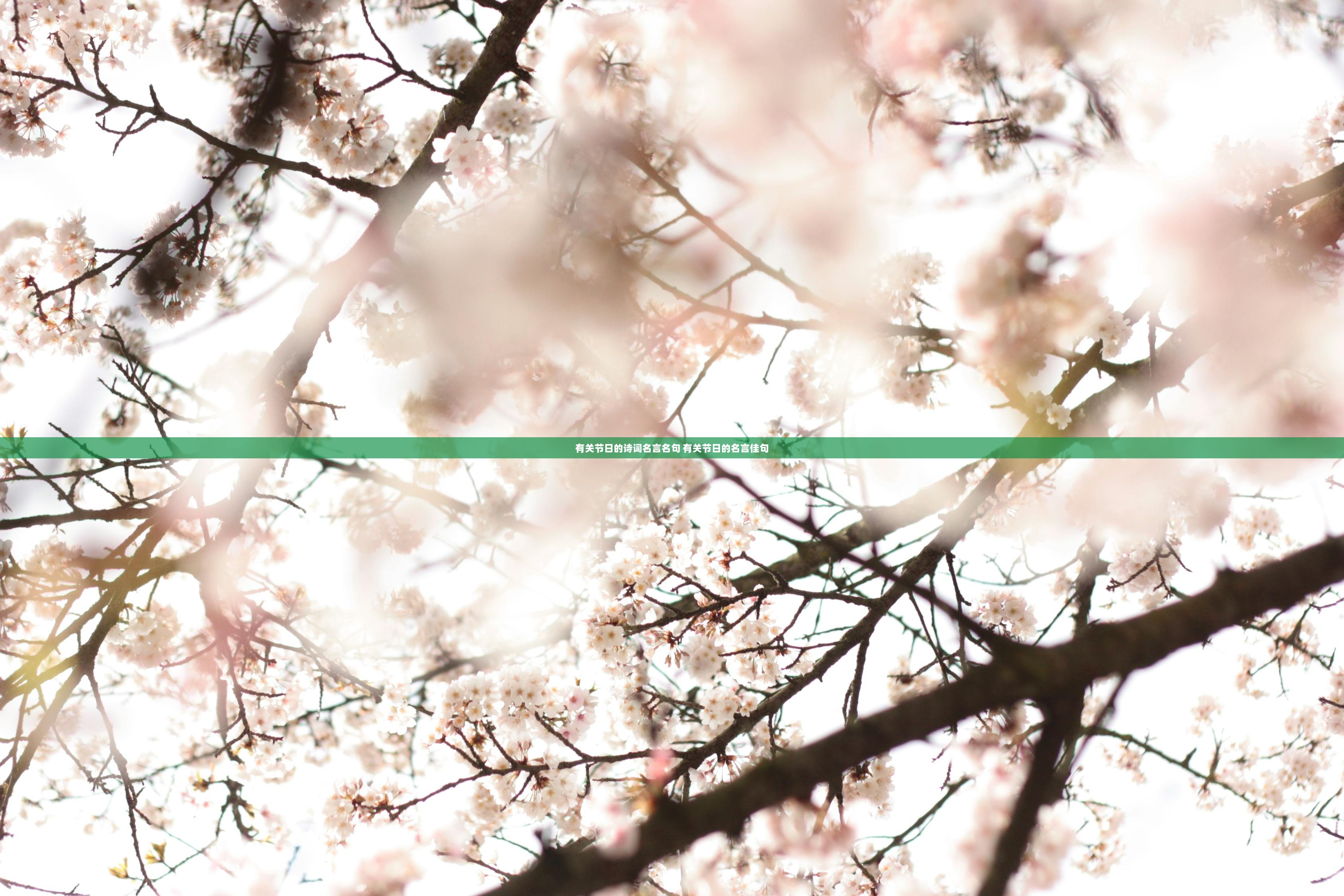 有关节日的诗词名言名句 有关节日的名言佳句