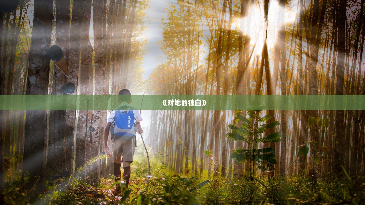 《对她的独白》  第1张
