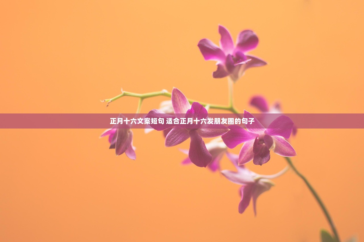 正月十六文案短句 适合正月十六发朋友圈的句子  第1张