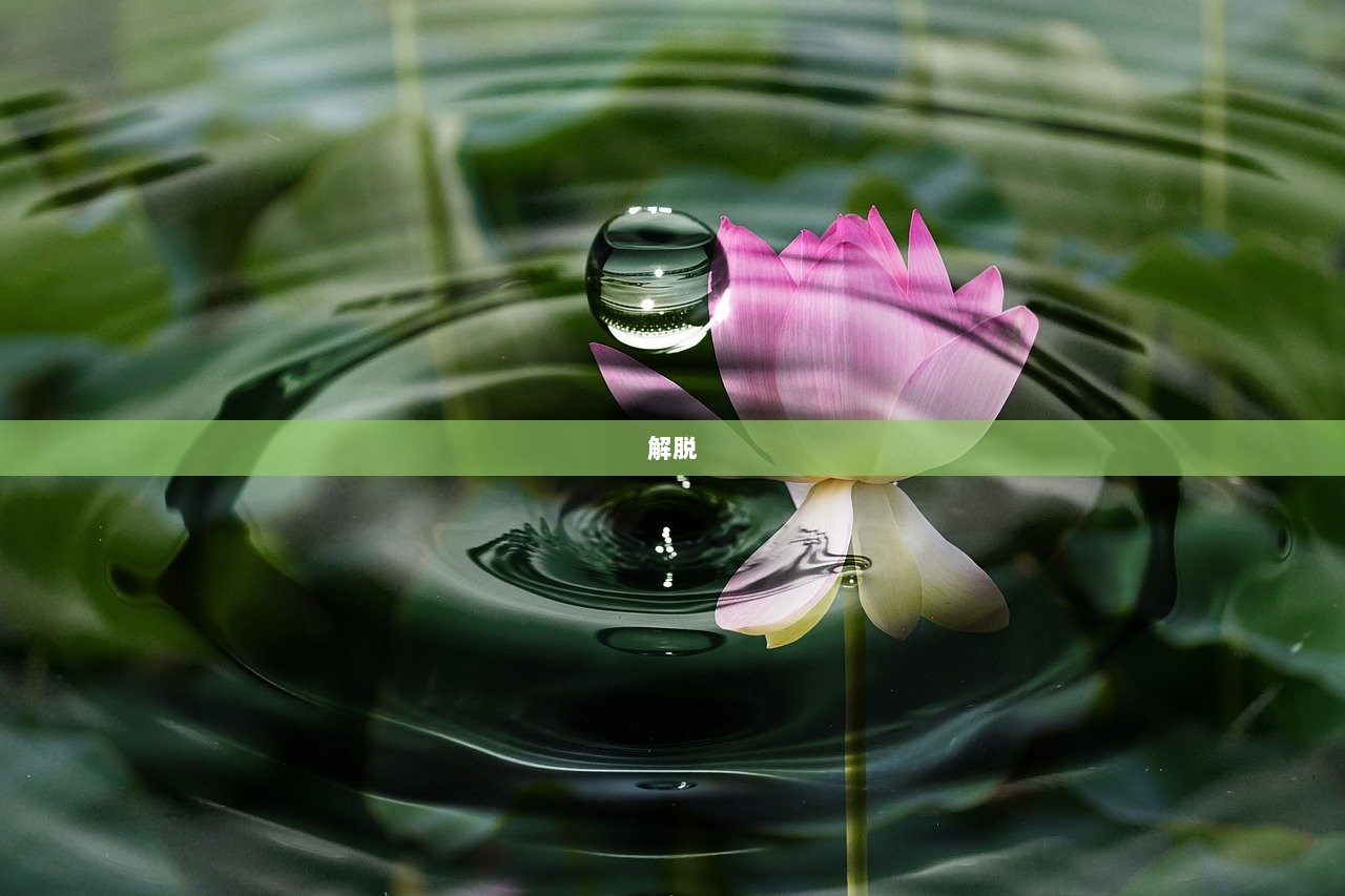 解脱  第1张