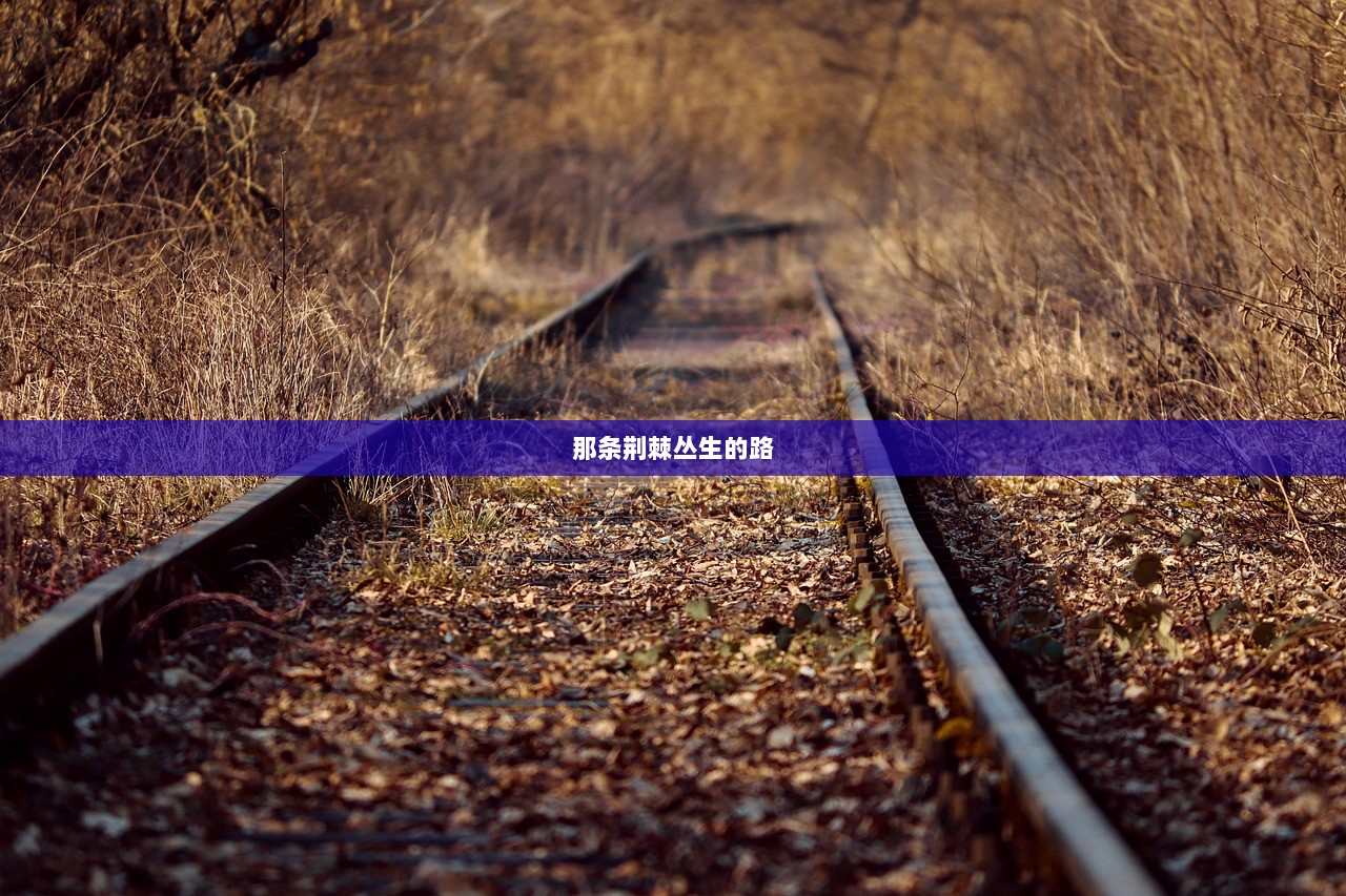 那条荆棘丛生的路  第1张