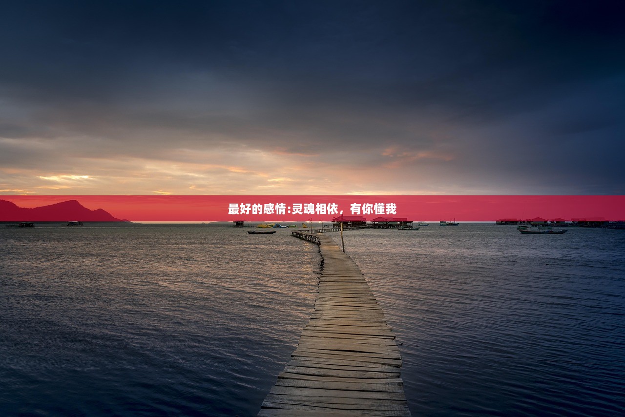 最好的感情:灵魂相依，有你懂我