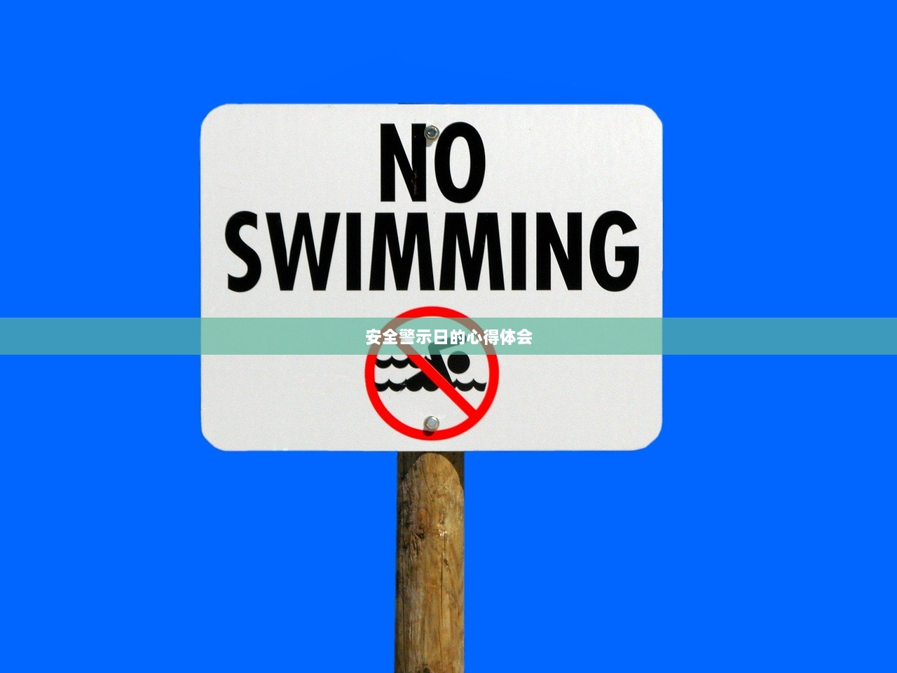 安全警示日的心得体会  第1张
