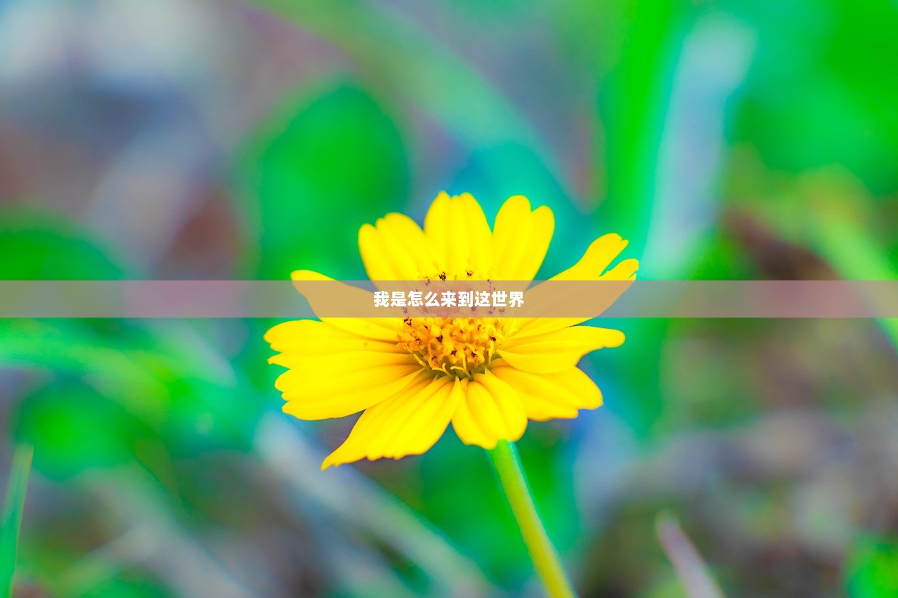 我是怎么来到这世界