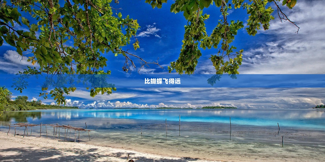 比蝴蝶飞得远