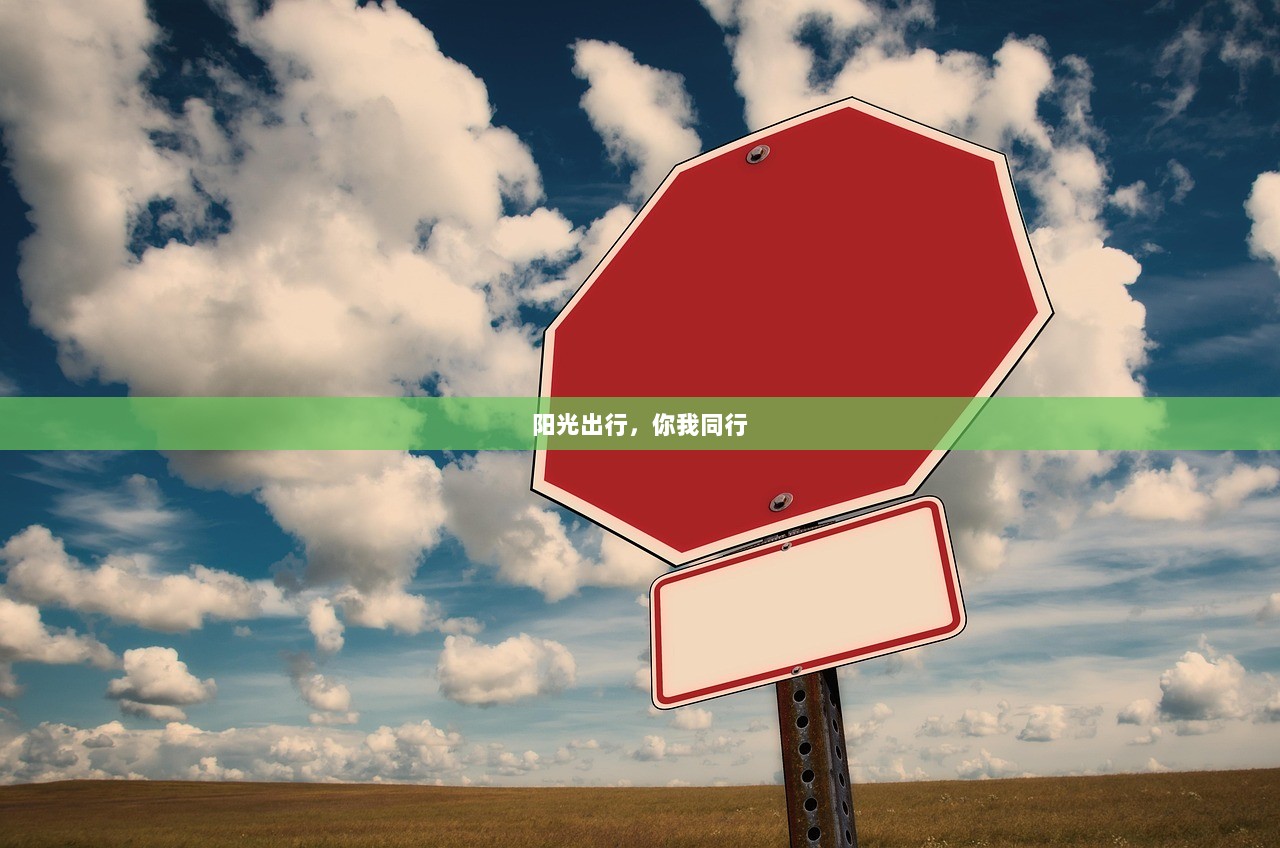 阳光出行，你我同行