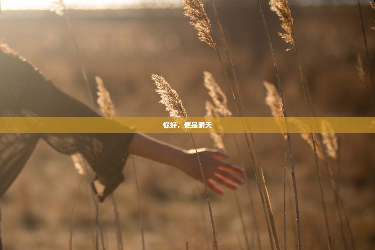 你好，便是晴天