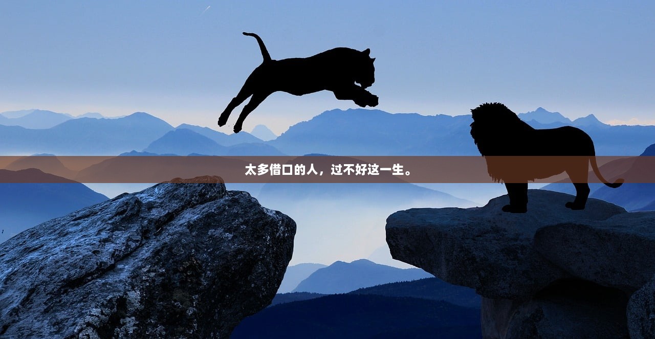 太多借口的人，过不好这一生。