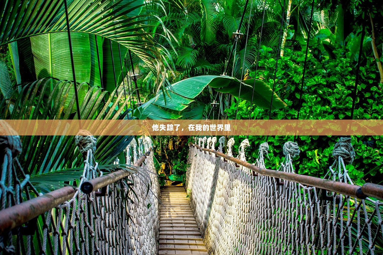 他失踪了，在我的世界里  第1张