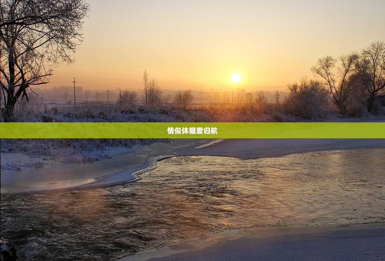 情似休眠爱归航