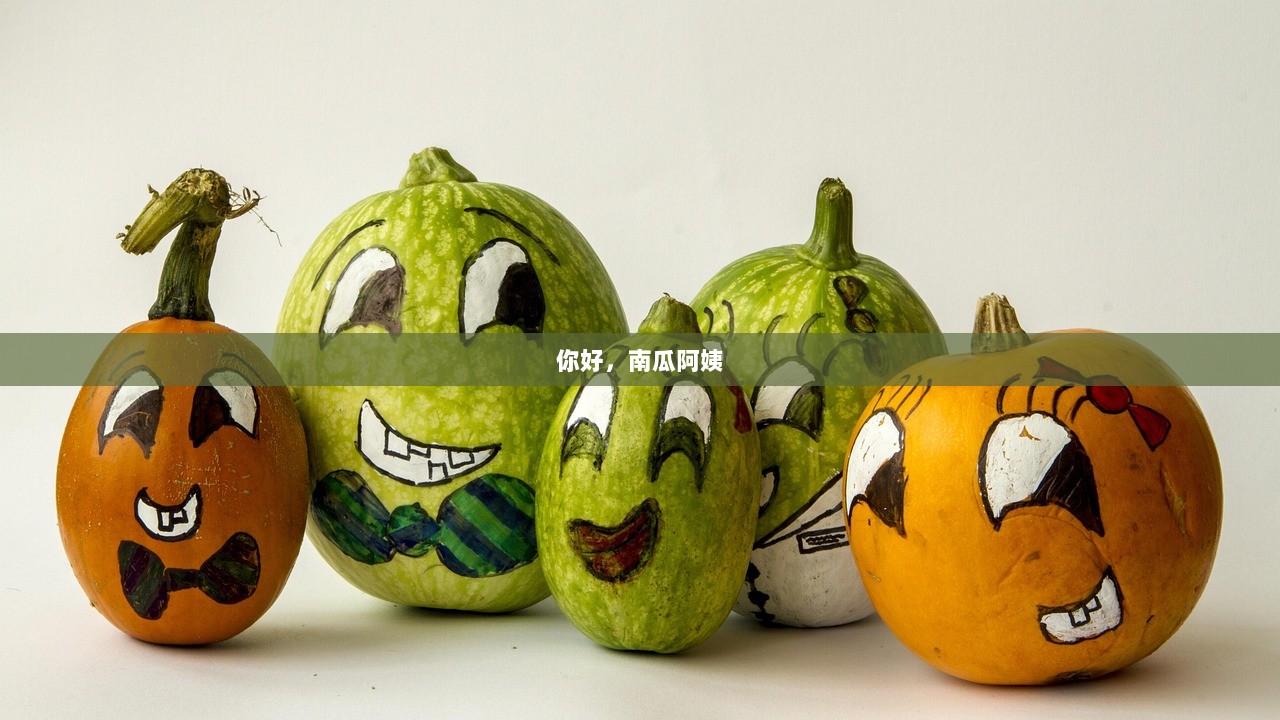你好，南瓜阿姨