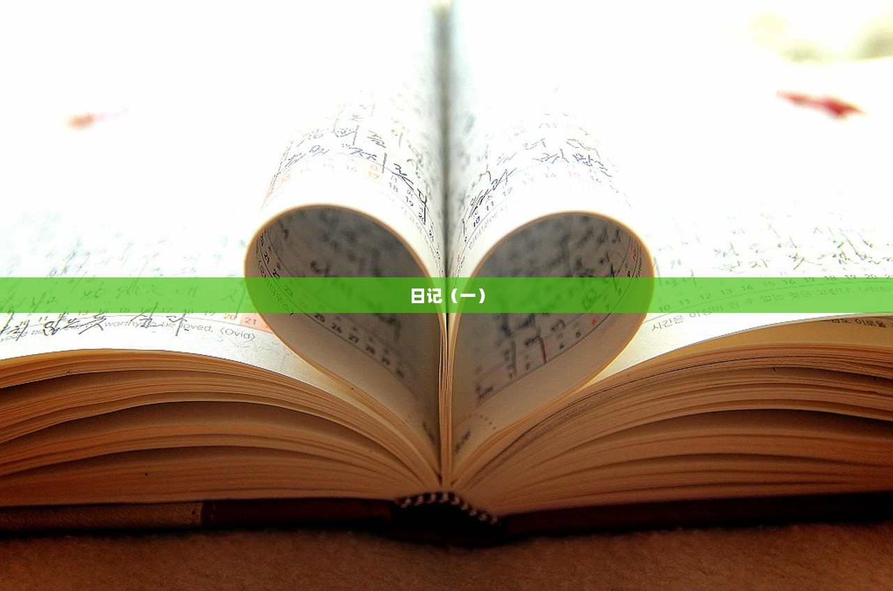 日记（一）