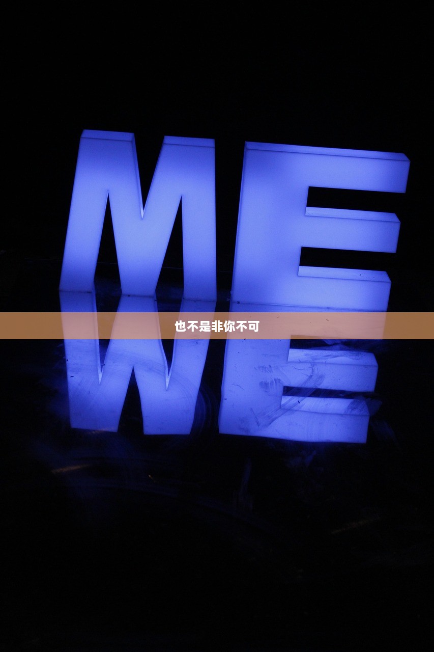 也不是非你不可