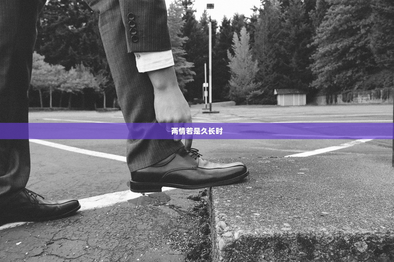 两情若是久长时  第1张