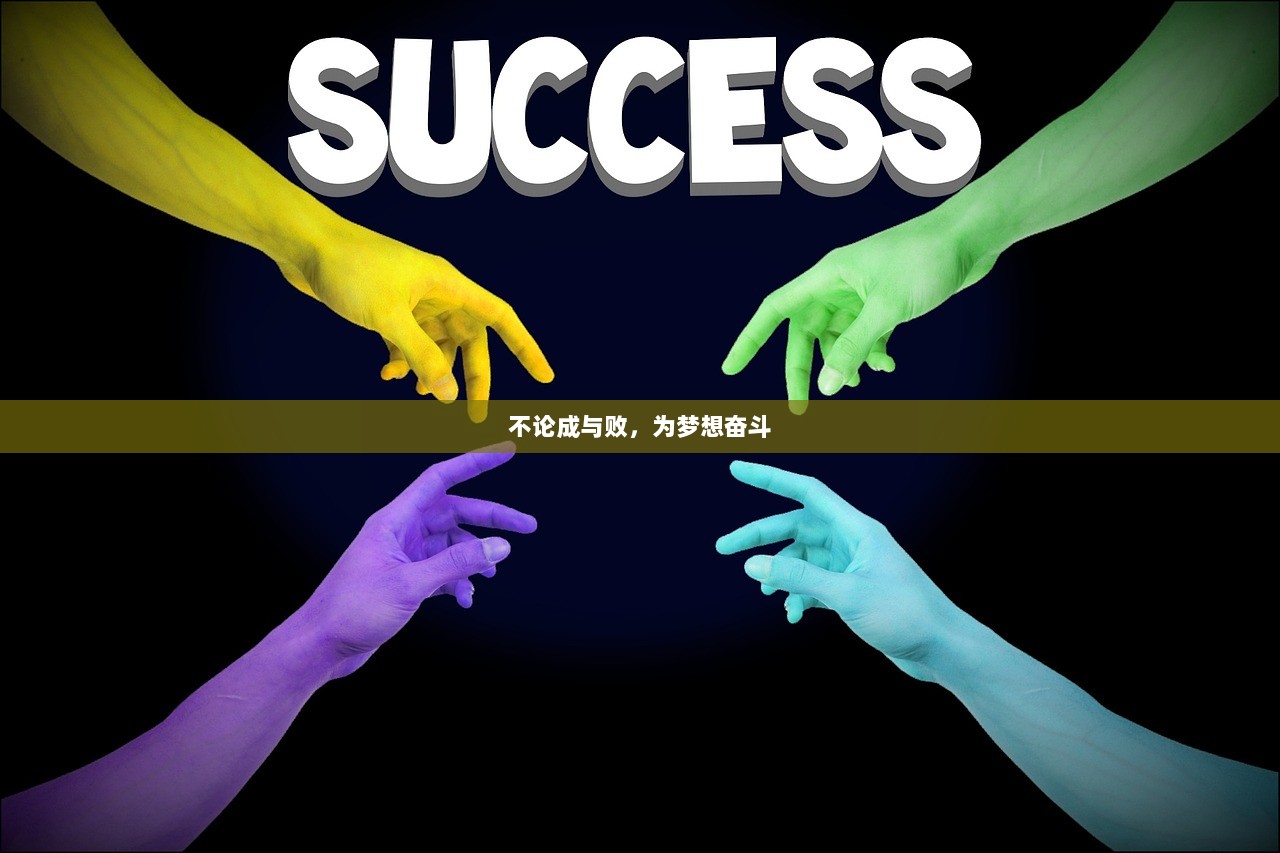 不论成与败，为梦想奋斗