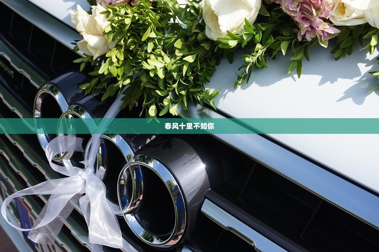春风十里不如你