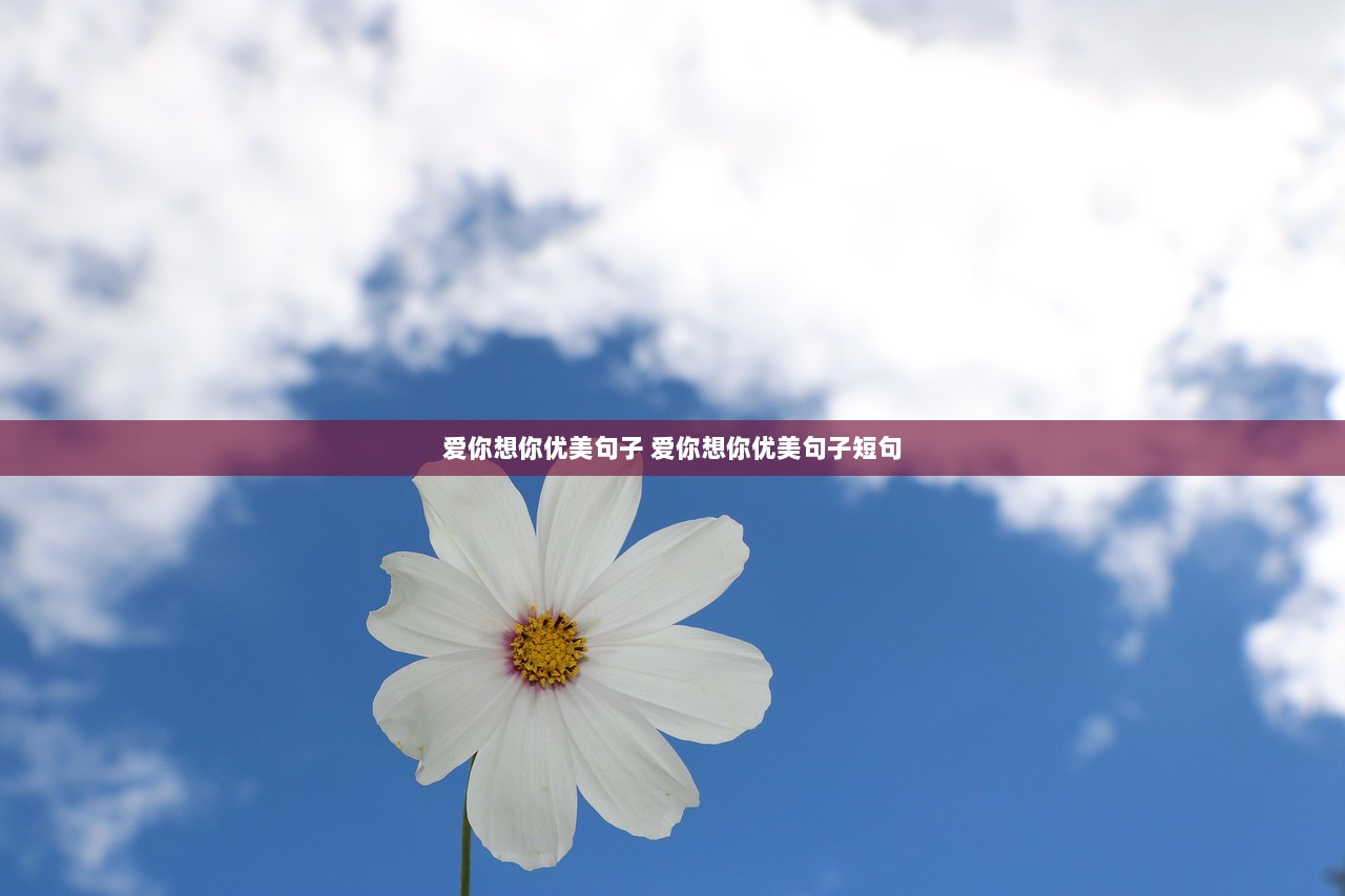 爱你想你优美句子 爱你想你优美句子短句