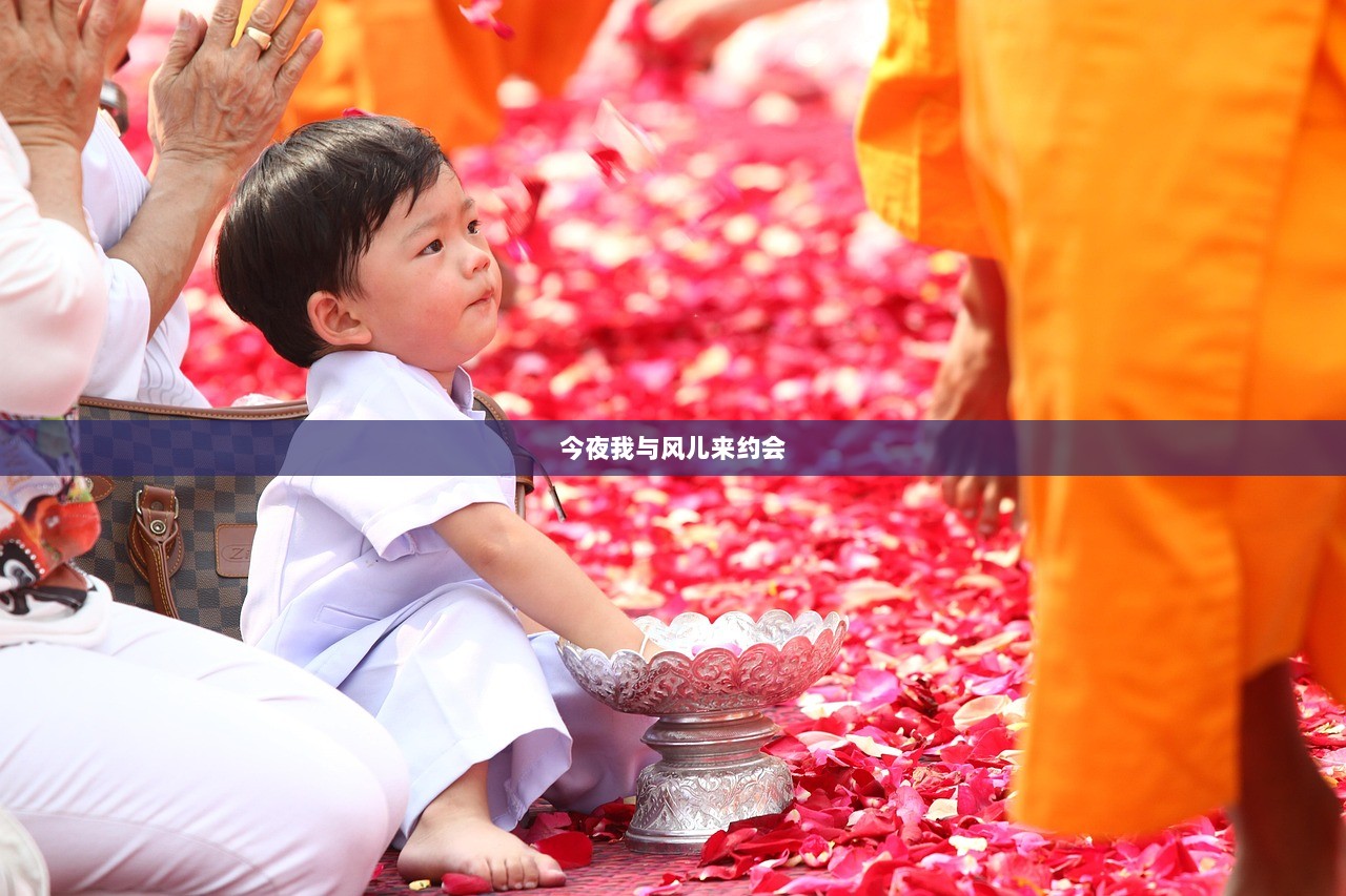 今夜我与风儿来约会