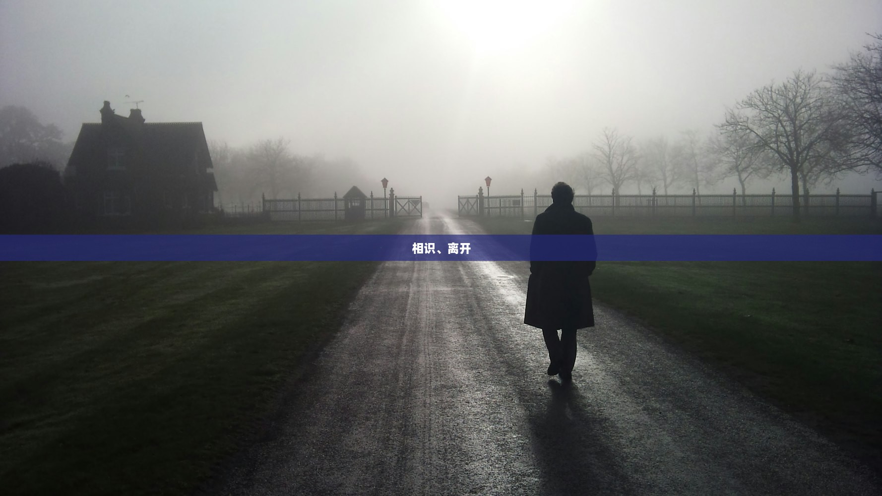 相识、离开
