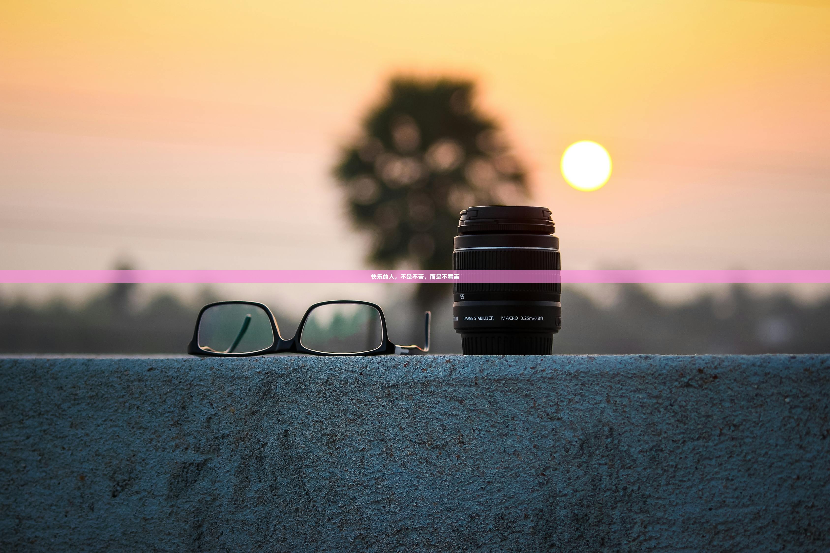 快乐的人，不是不苦，而是不着苦