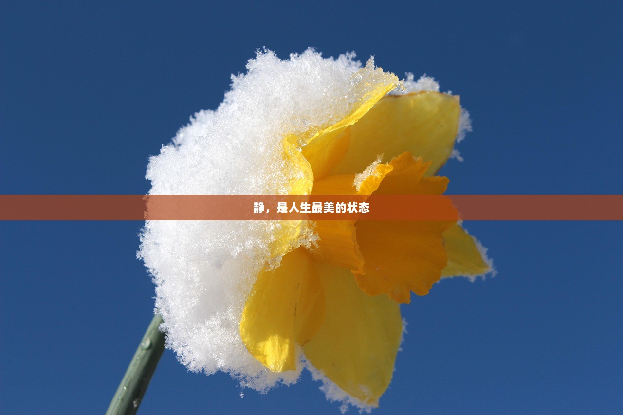 静，是人生最美的状态  第1张