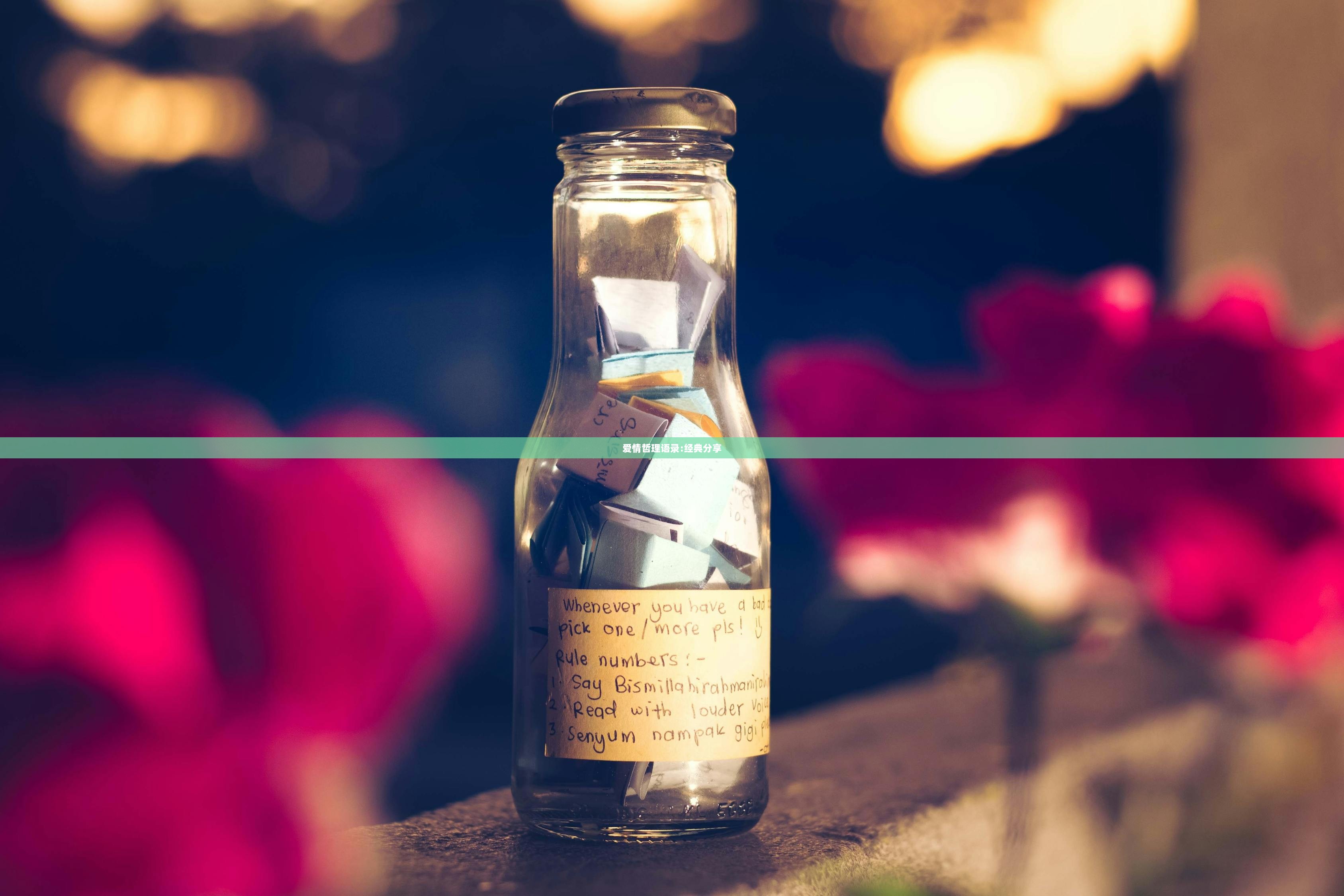 爱情哲理语录:经典分享