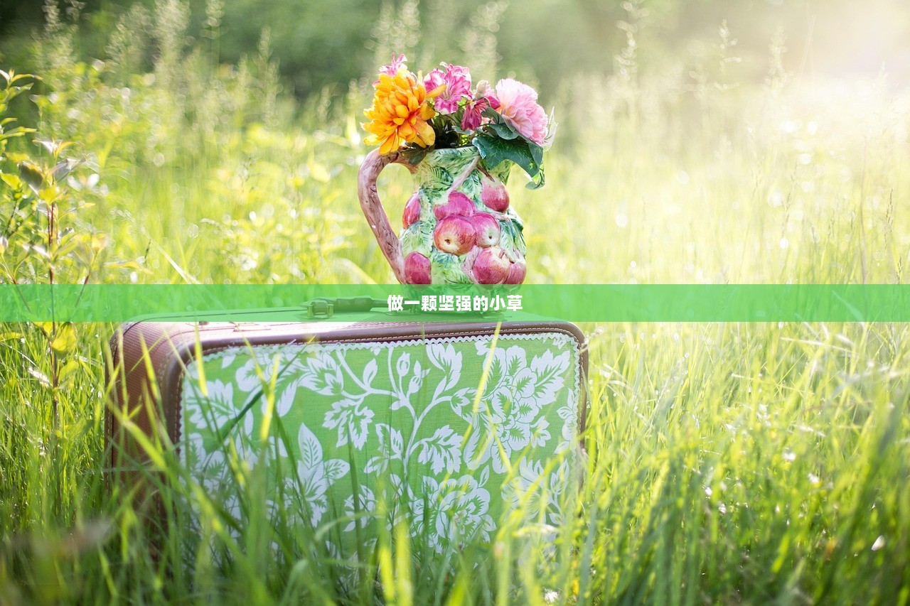 做一颗坚强的小草