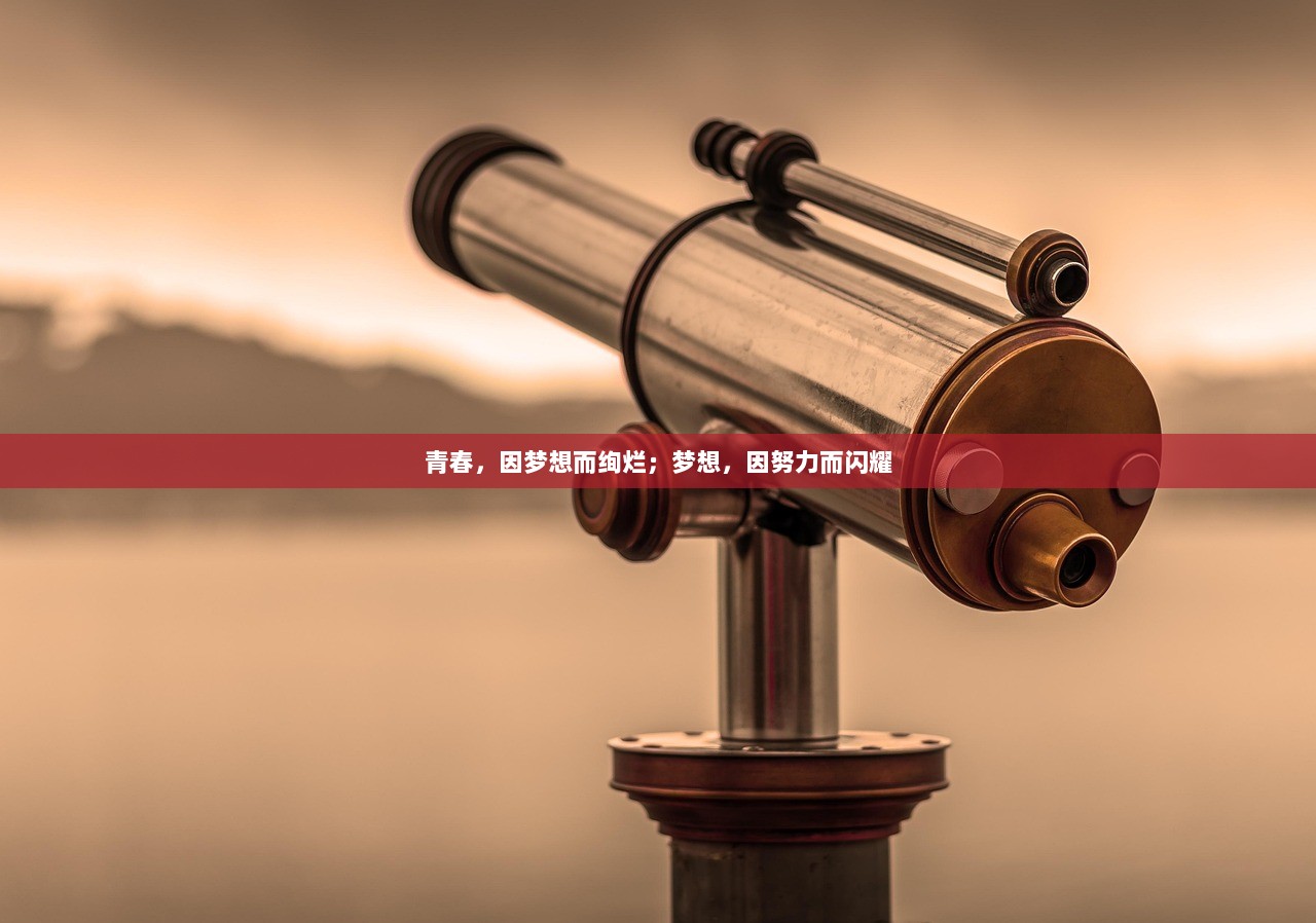 青春，因梦想而绚烂；梦想，因努力而闪耀
