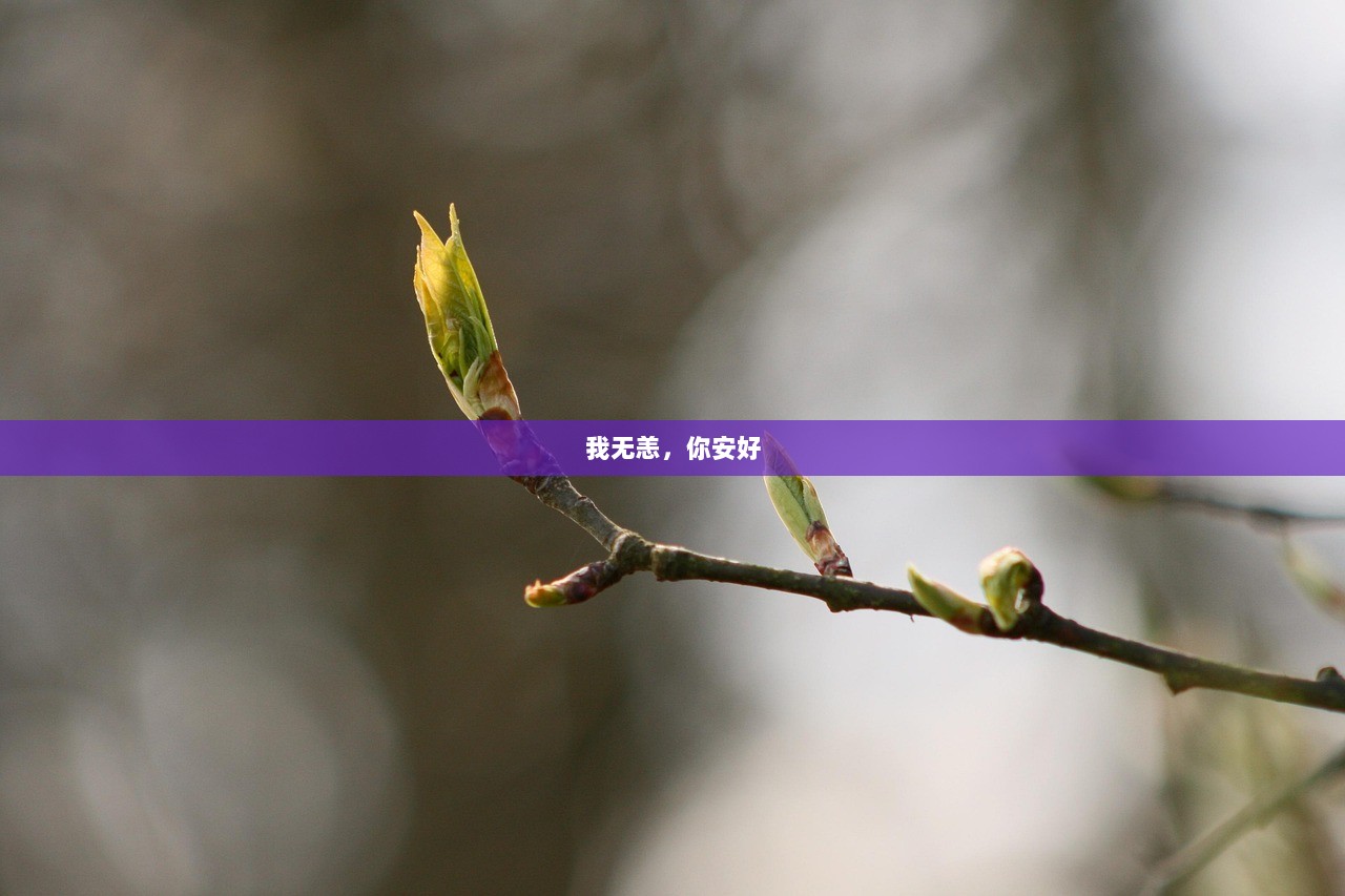 我无恙，你安好  第1张