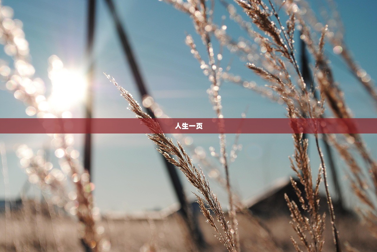 人生一页  第1张