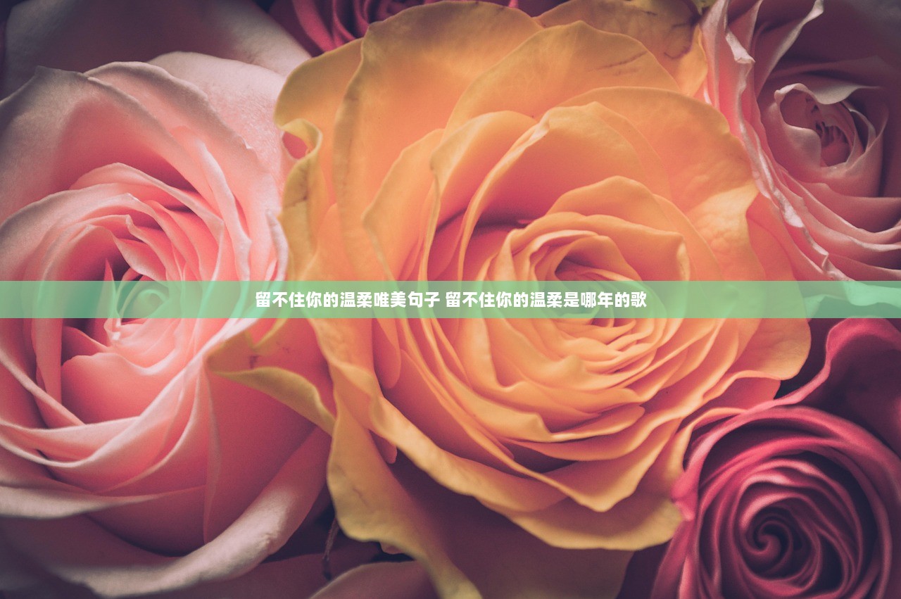 留不住你的温柔唯美句子 留不住你的温柔是哪年的歌  第1张