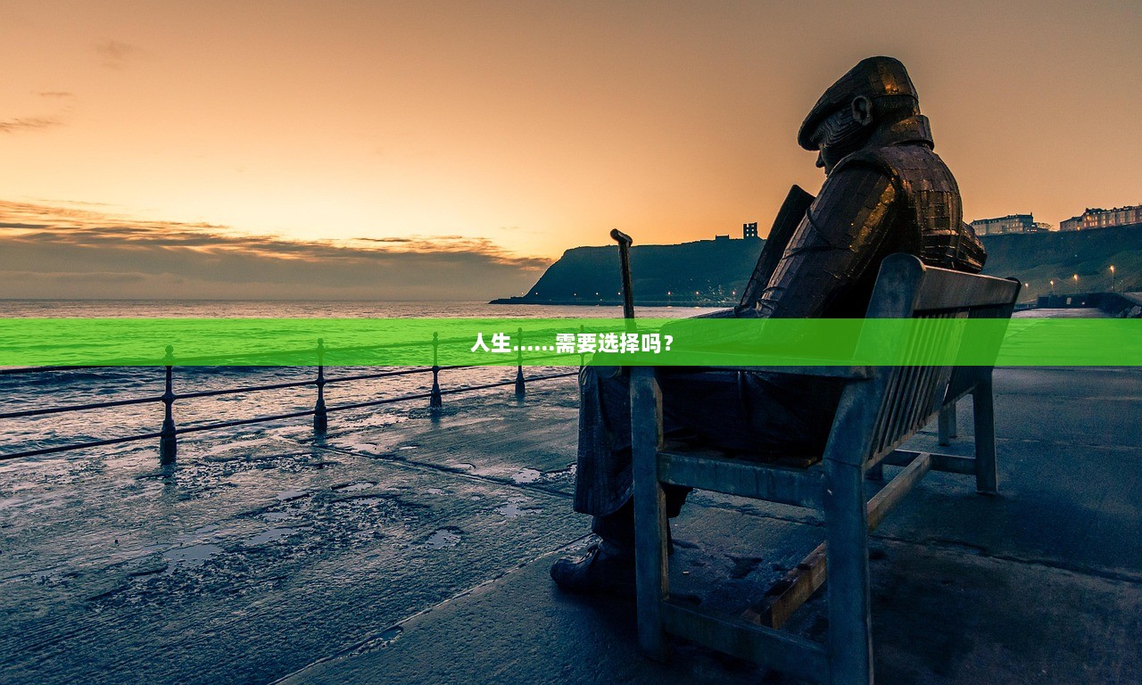 人生……需要选择吗？  第1张