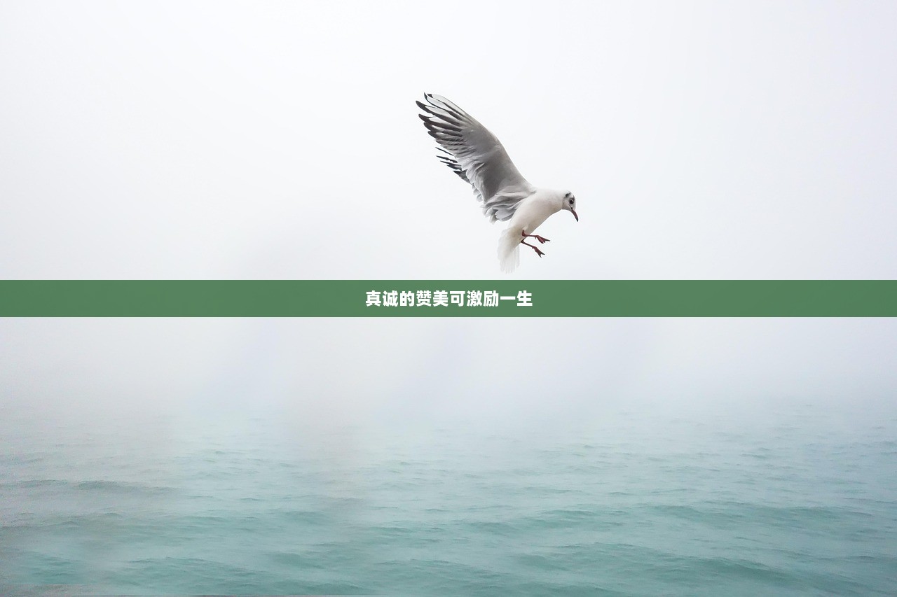 真诚的赞美可激励一生