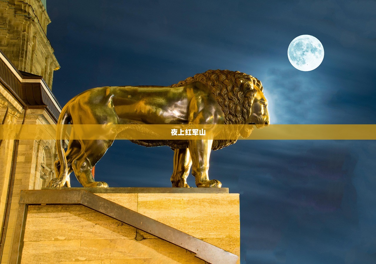 夜上红军山  第1张