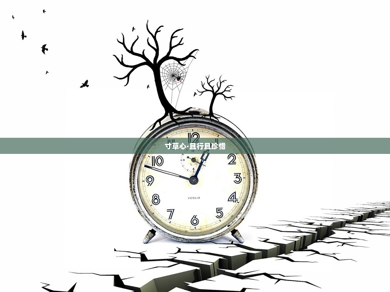 寸草心·且行且珍惜  第1张