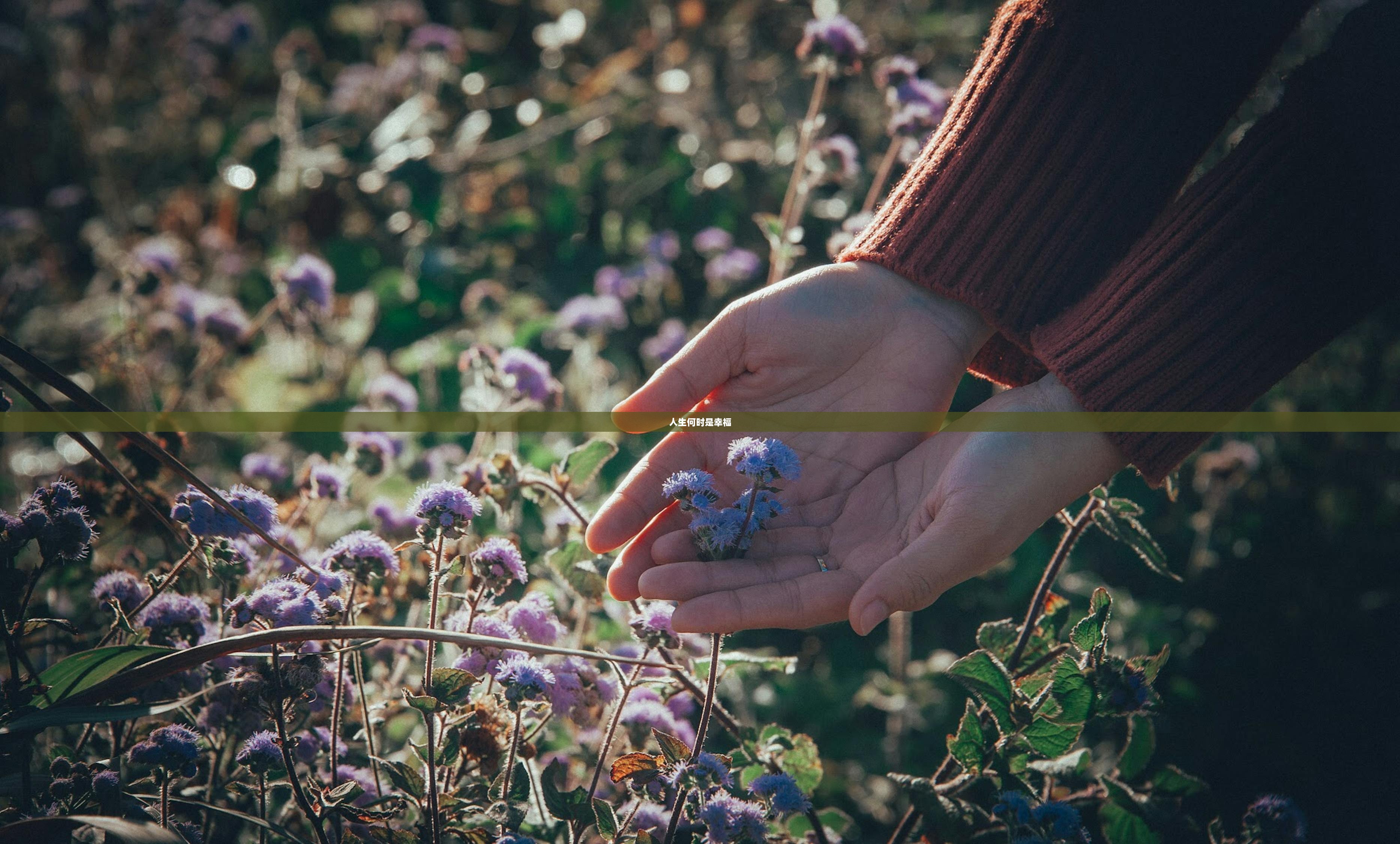 人生何时是幸福