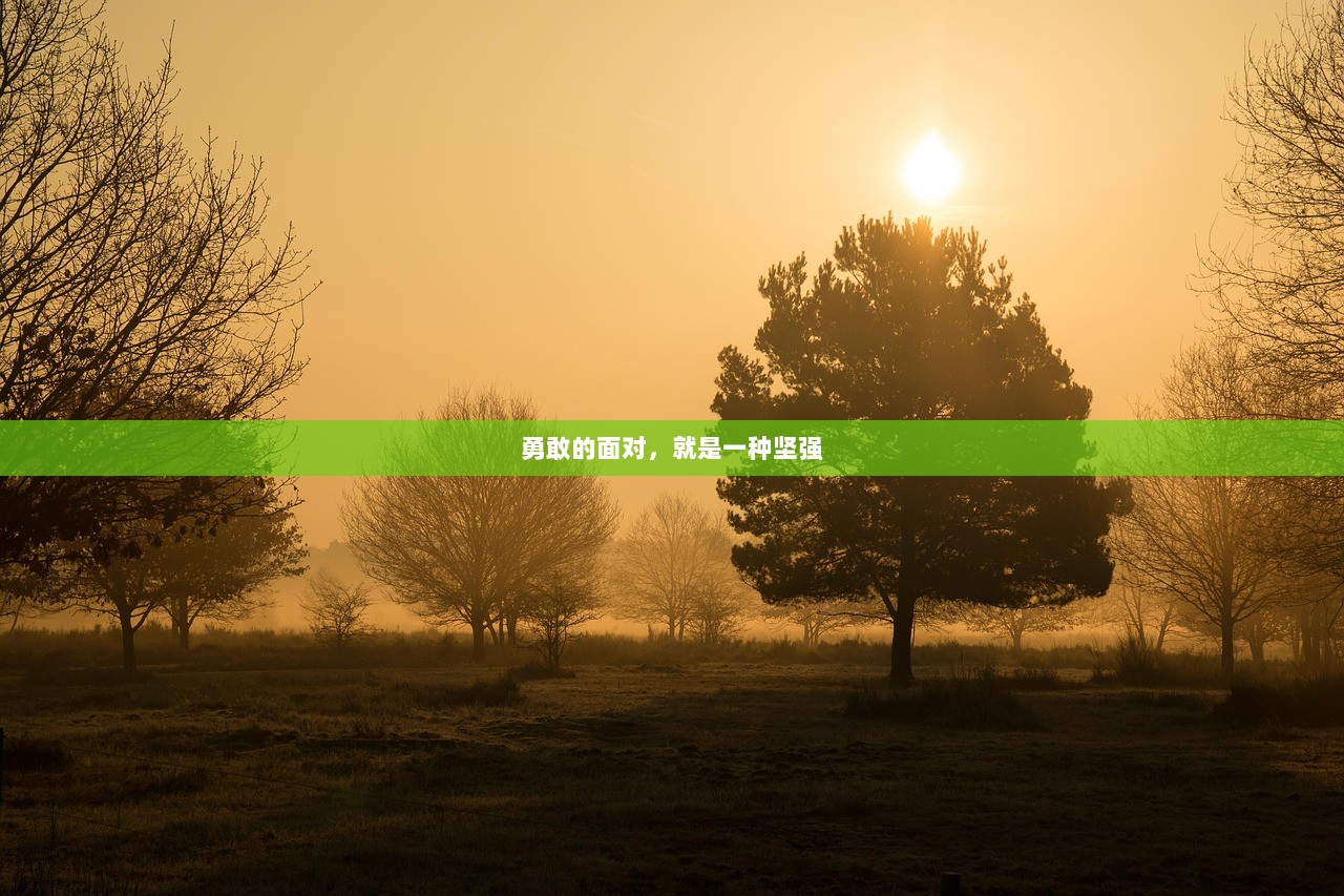 勇敢的面对，就是一种坚强